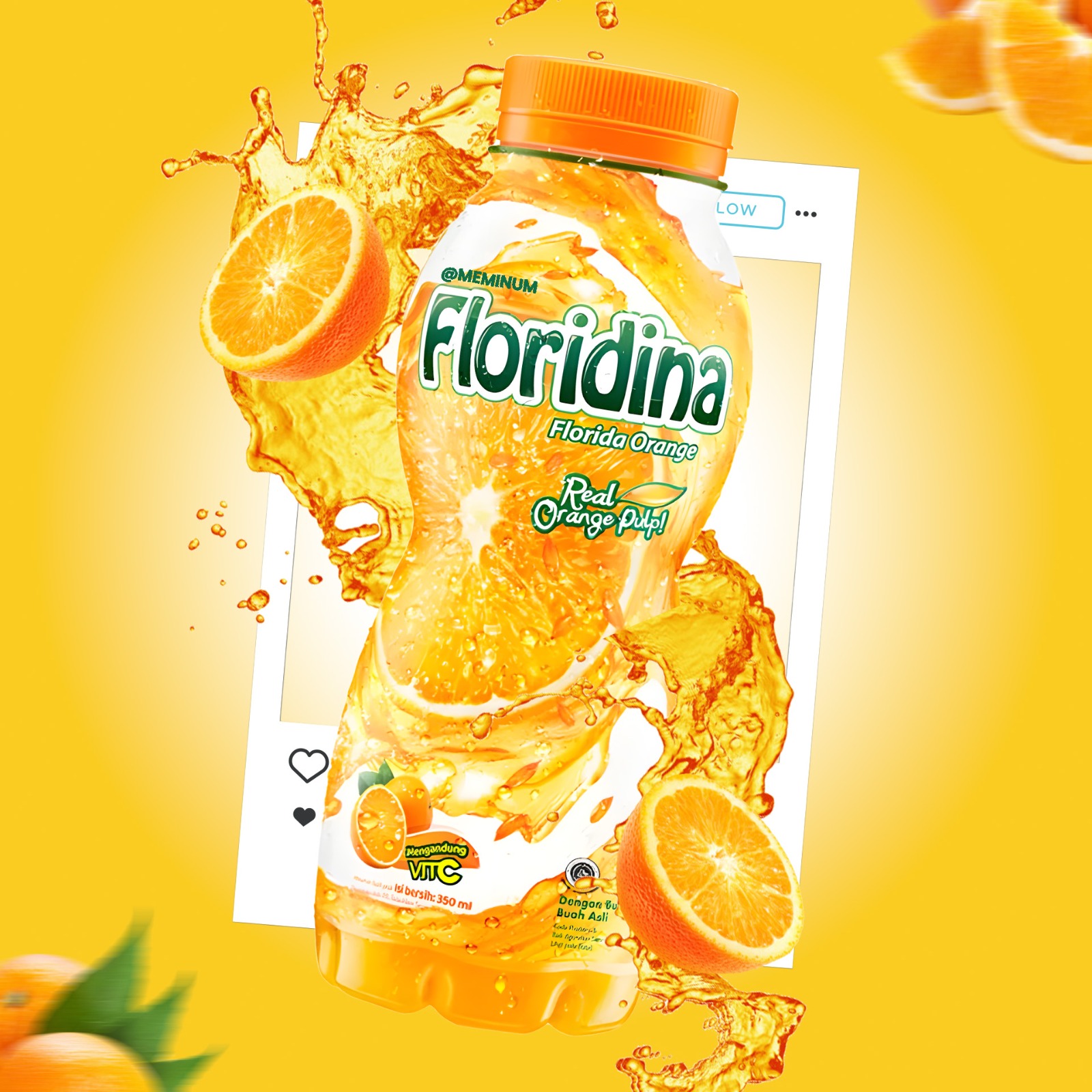 Floridina Product Advertisement